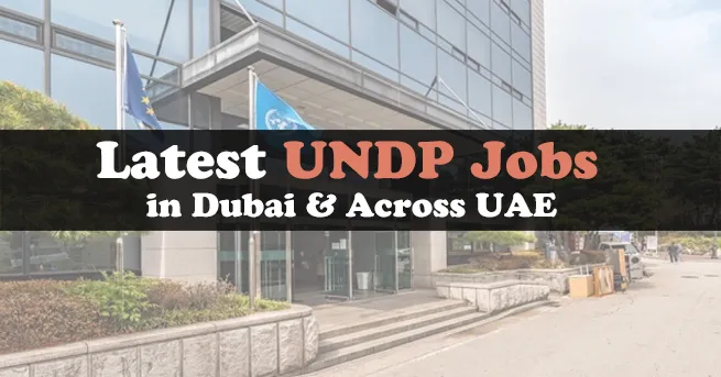 UNDP Jobs