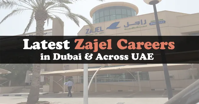 Zajel Careers